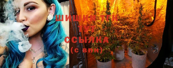 ешки Алексеевка