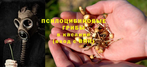 прущие крисы Алзамай