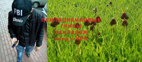 стаф Алексин