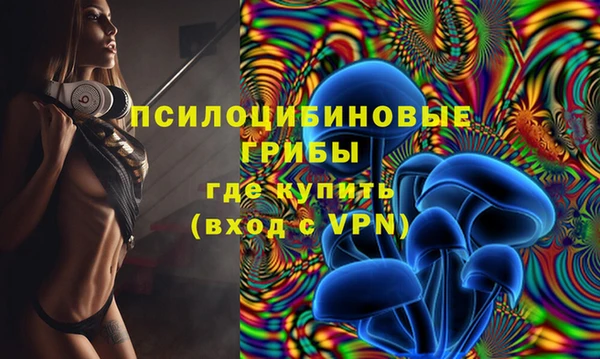 ешки Алексеевка