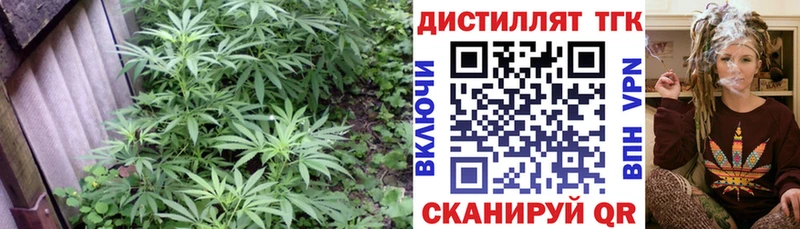 ТГК Wax  Льгов 