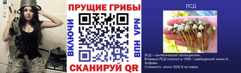 Галлюциногенные грибы MAGIC MUSHROOMS  цена   Льгов 